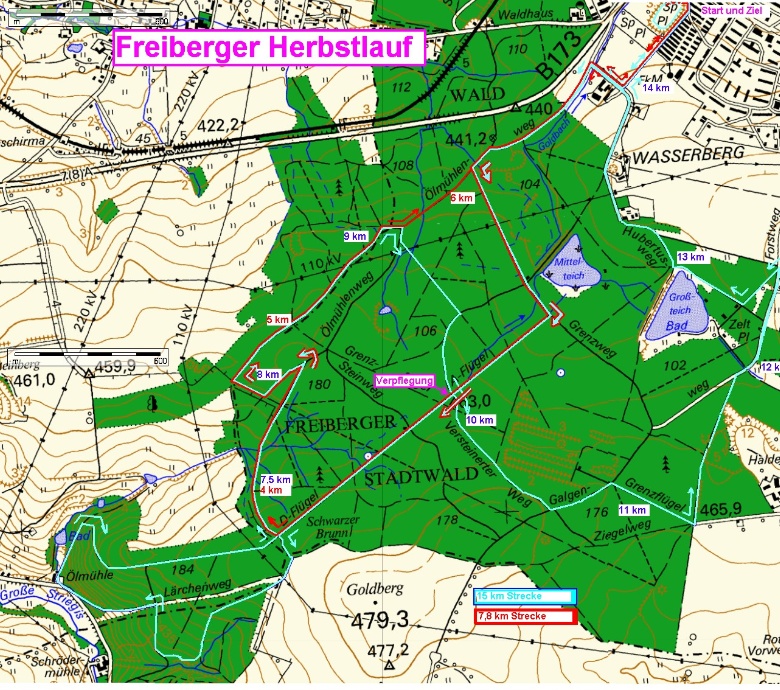 Stadtwald Herbstlauf